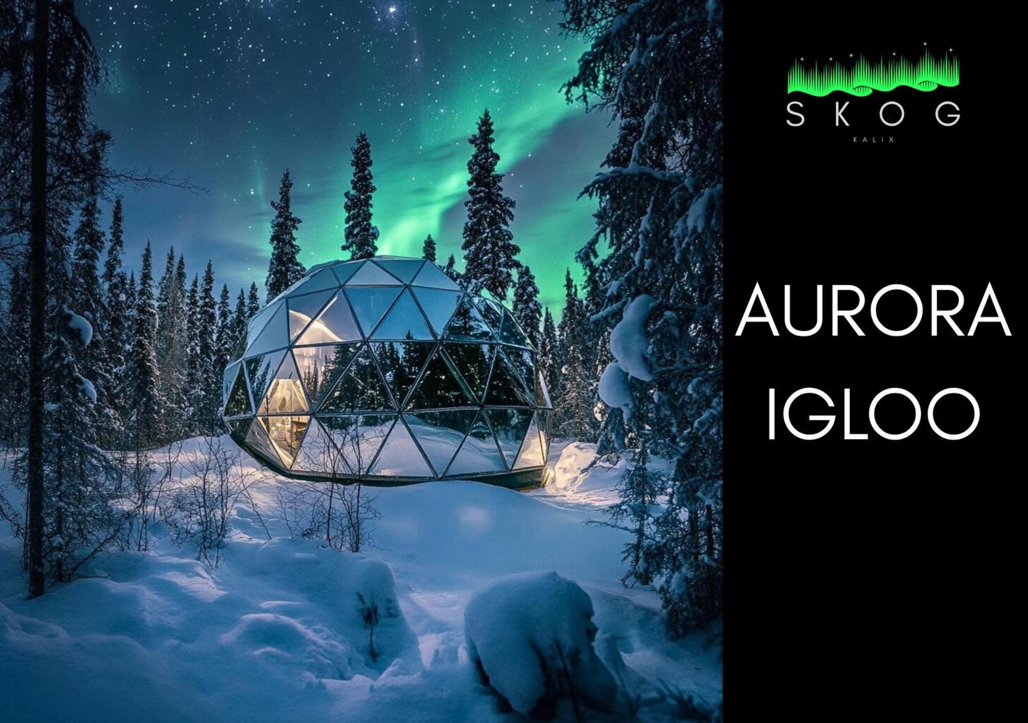 Skog Aurora Igloos Villa Kalix Exterior photo